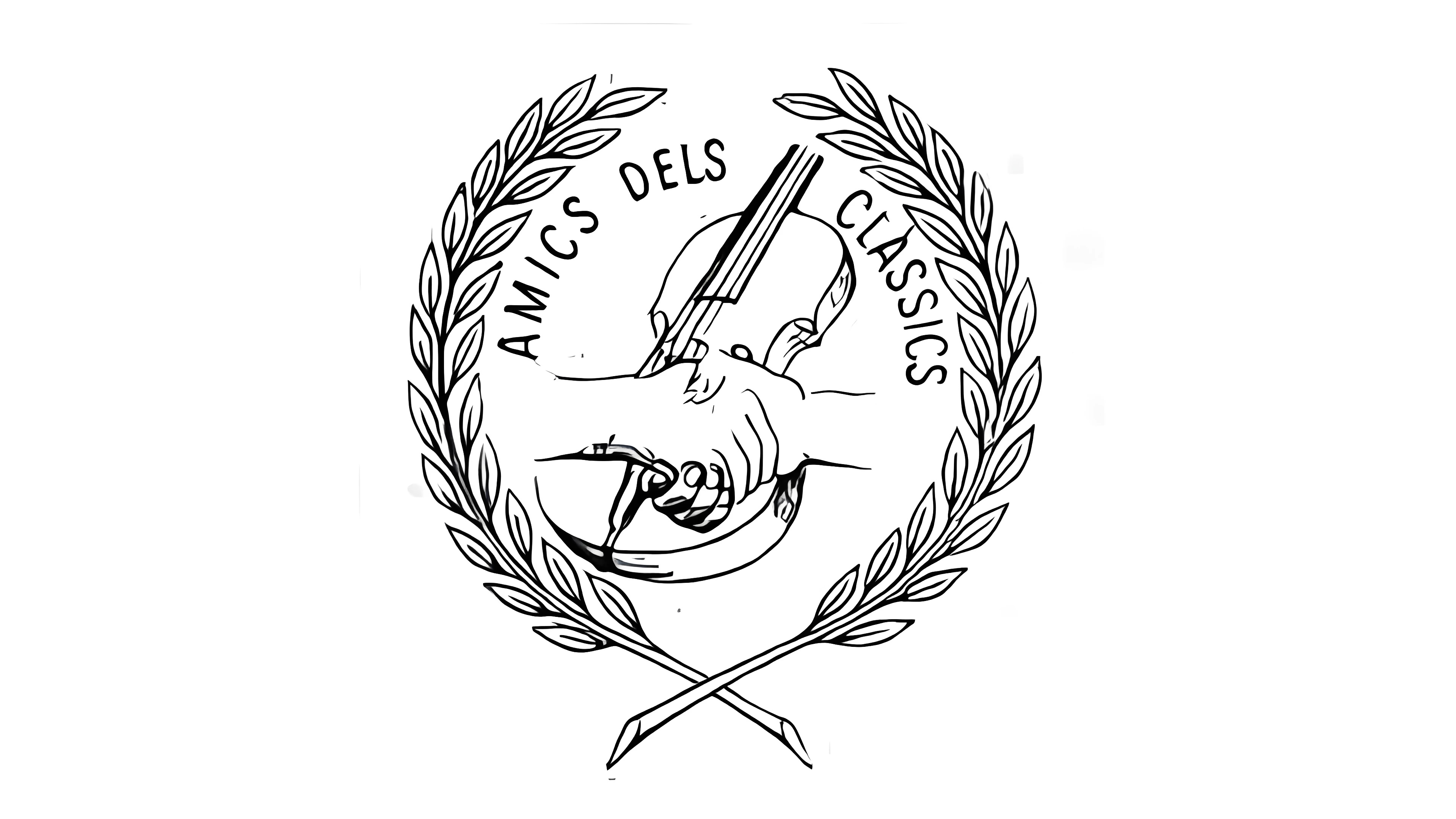 ASSOCIACIÓ Orquestra DE CAMBRA Amics dels Clàssics